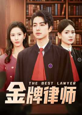 金牌律师全集(大结局)