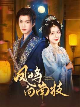 凤鸣向南枝(全集)