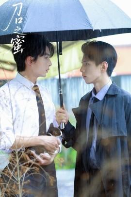 刀口之蜜(全集)